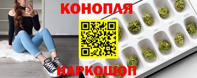 прущий лед Кингисепп