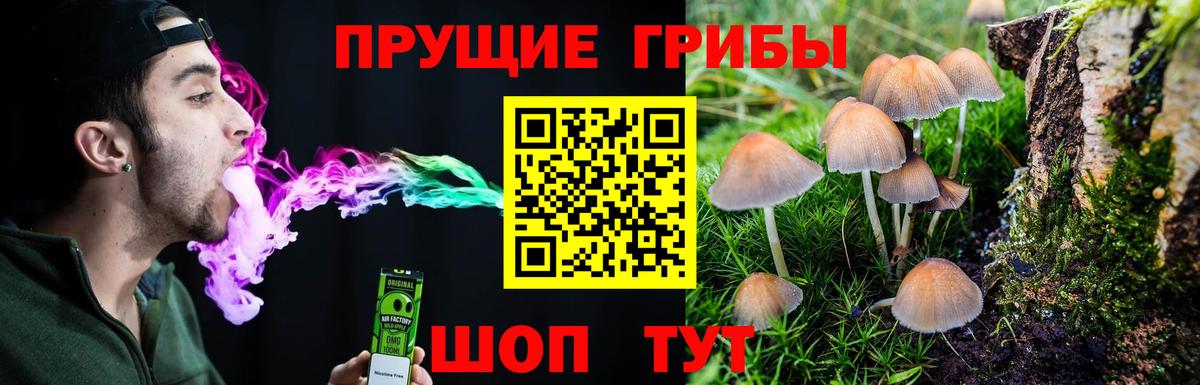 Псилоцибиновые грибы мухоморы Коломна